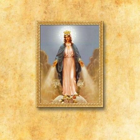 Imagem em tecido de Nossa Senhora da Conceição