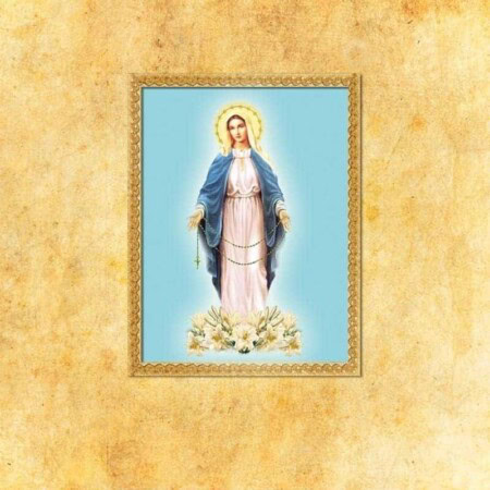Imagem em tecido Mãe de Deus do Rosário