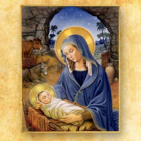 Decoração fotográfica grande Natal